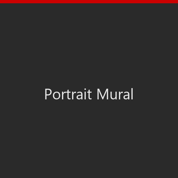Minecraft block mural portrait of a person